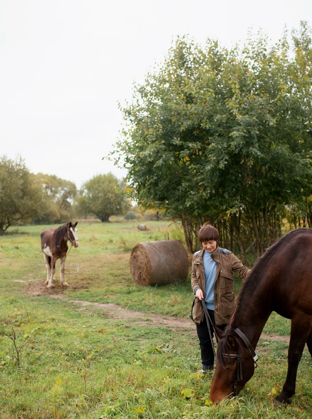 Horse Farm