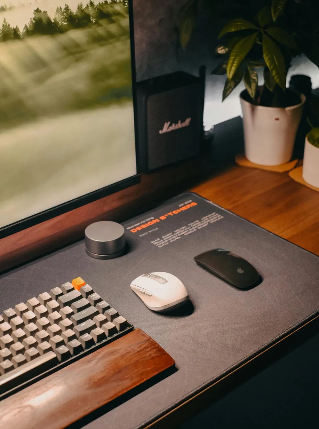 designer desk